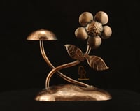 Image 1 of Shroom Flower