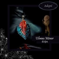 Image 3 of ☽ Ulmus Minor ☾