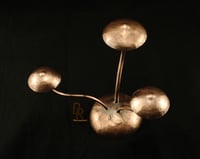Image 2 of Cap Cluster