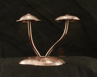 Image 1 of Number 22(copper)