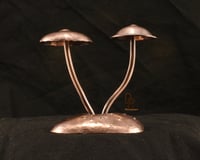 Image 1 of Number 21(copper)
