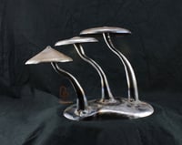 Image 1 of Number 15(steel)