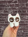 Grumpy Cat 