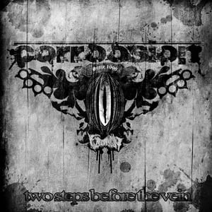 Image of Two Steps Before The Vein EP