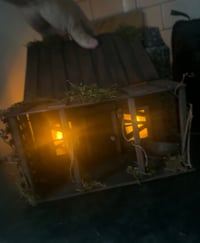 Image 1 of Evil dead cabin/display birdhouse 