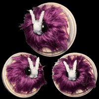 Image 1 of OOAK Asexual Pride Moth Wall Mount • Pride 2025