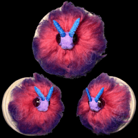 Image 1 of OOAK Bisexual Pride Moth Wall Mount • Pride 2025