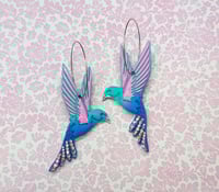 Designer Hummingbirds