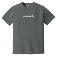 Image 3 of Autism Ally