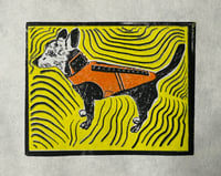 Biscuit in a Coyote Vest