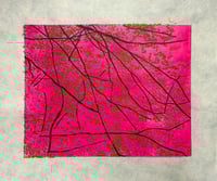 Leaves and Branches, Pink