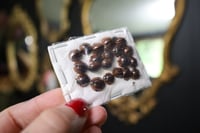 Image 2 of Ladybugs 20pk