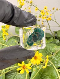 Image 5 of DIOTASE (Raw Specimen 1)
