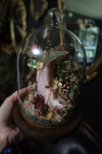Image 6 of Ellie - Wildflower Oddities