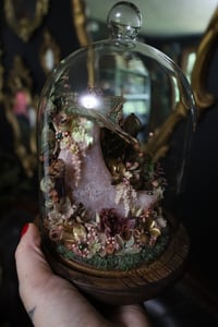 Image 5 of Ellie - Wildflower Oddities
