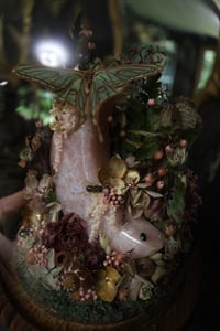 Image 8 of Ellie - Wildflower Oddities
