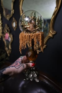 Image 1 of The amaranthus looks like the thin cheetos and the urge to eat it is consuming me