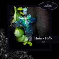 Image 20 of ☽ Hedera Helix ☾