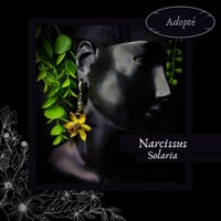 Image 1 of ☽ Narcissus Solaria ☾