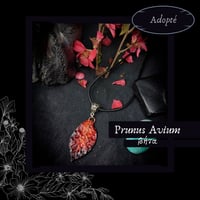 Image 1 of ☽ Prunus Avium ☾