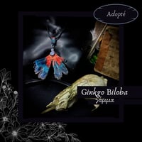 Image 3 of ☽ Ginkgo Biloba ☾