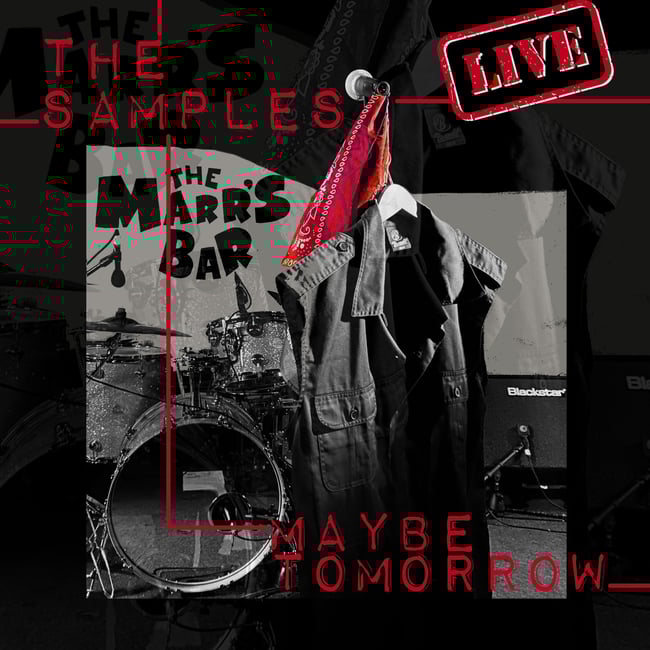 The Samples - LP 