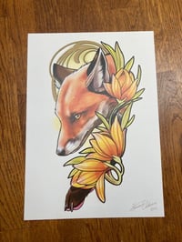 Doctor Fox