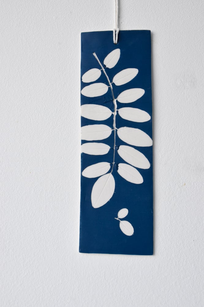Image of HERBARIUM
