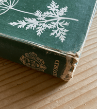 Image 4 of The Oxford book of Wild Flowers