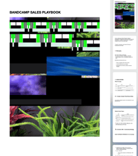   Bandcamp Sales Playbook PDF
