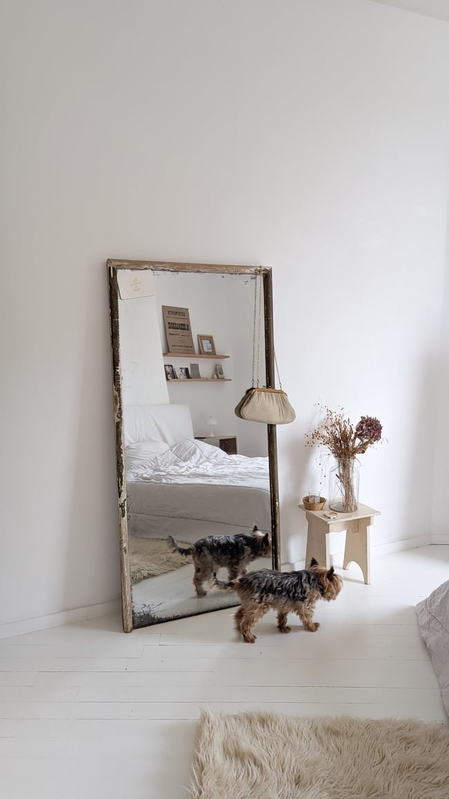 Miroir 🪞
