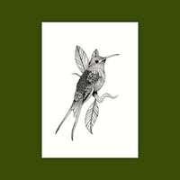 A6 Print/Postcard 'Hummingbird'