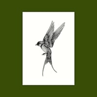 A6 Print/Postcard 'Swallow'