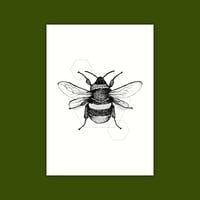 A6 Print/Postcard 'Bumblebee'
