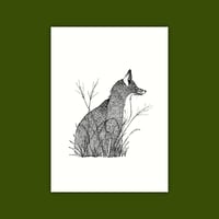 A6 Print/Postcard 'Fox'