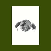 A6 Print/Postcard 'Moon Beetles'