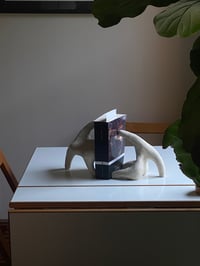 Image 2 of book ends