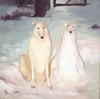 Dog and Snog