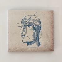 Residual - Mythology of Brain & Body CD (Satatuhatta)
