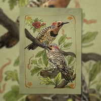 northern flickers print