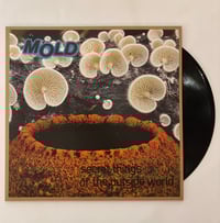 Mold - Secret Things Of The Outside World LP (Satatuhatta)