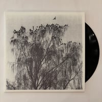 Nærværet - Når Man Ser Inn I En Annens Hjerte LP (Satatuhatta)