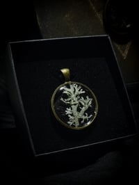 Image 2 of "Echoes of St. Ann" – Volcanic Lake Lichen Pendant