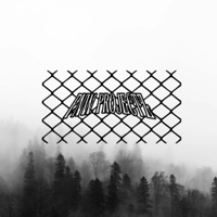 Image 1 of chain link mirror overlay