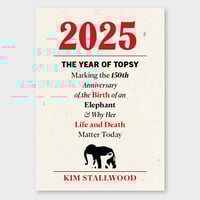 2025, The Year Of Topsy