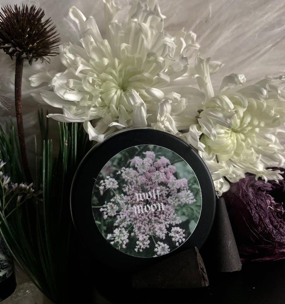 Image of Full Moon incense cones 