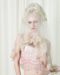 Image 1 of ANGEL VEIL