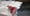 Image of Used Junglist OC1