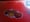 Image of Spanish Fly Stickers