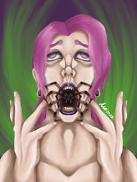 Spiders